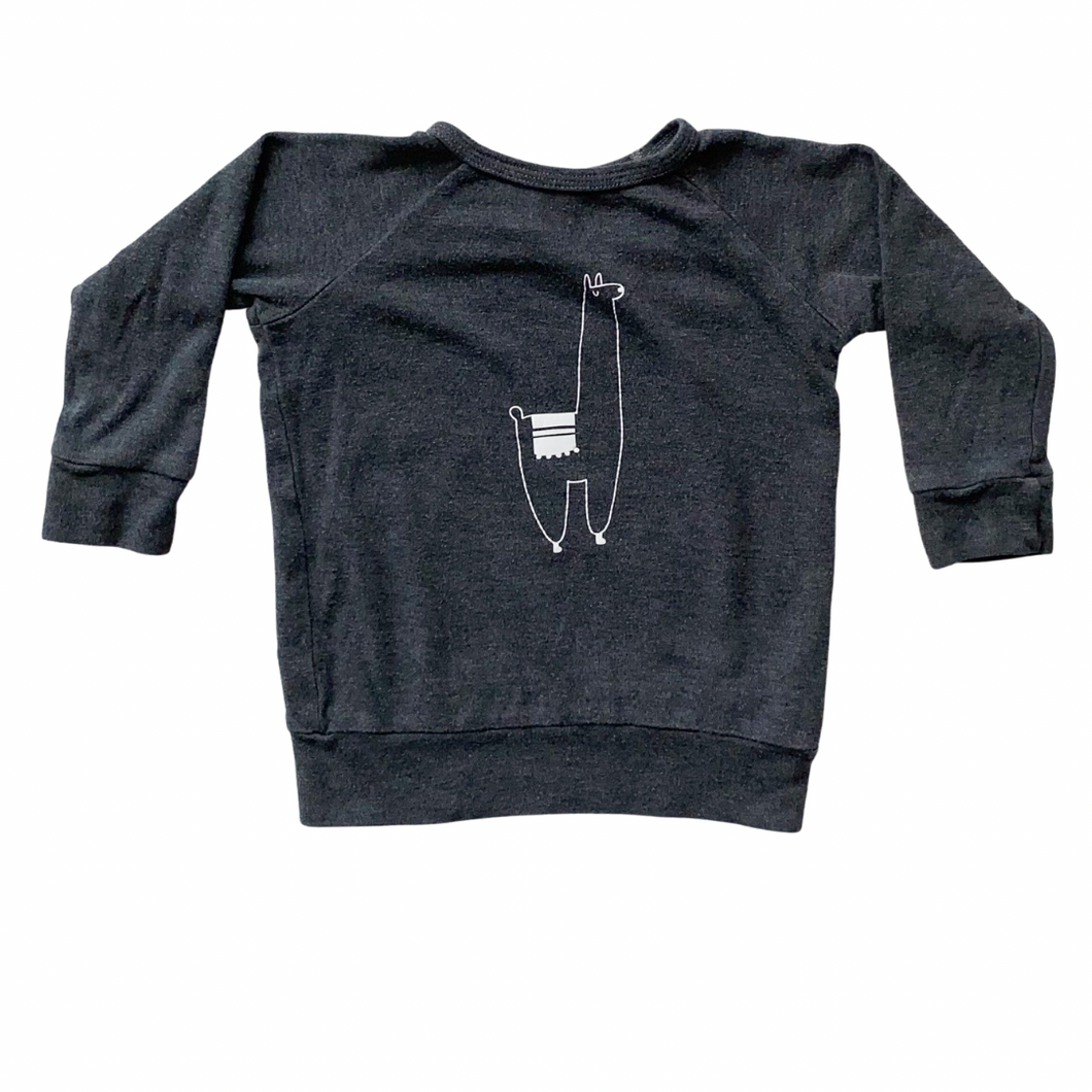 Little and Lively Sweatshirt 1-2Y