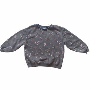 Zara Sweatshirt 4-5Y