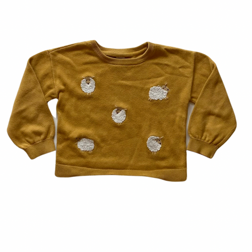 Gap Knit Sweater 5Y